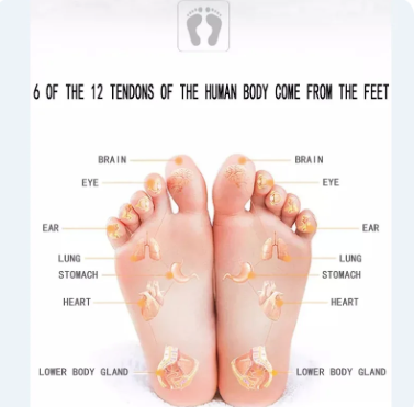 VitalPies™ – ¡Energía y alivio a cada paso!+🎁 ¡Bonus Especial!🎁